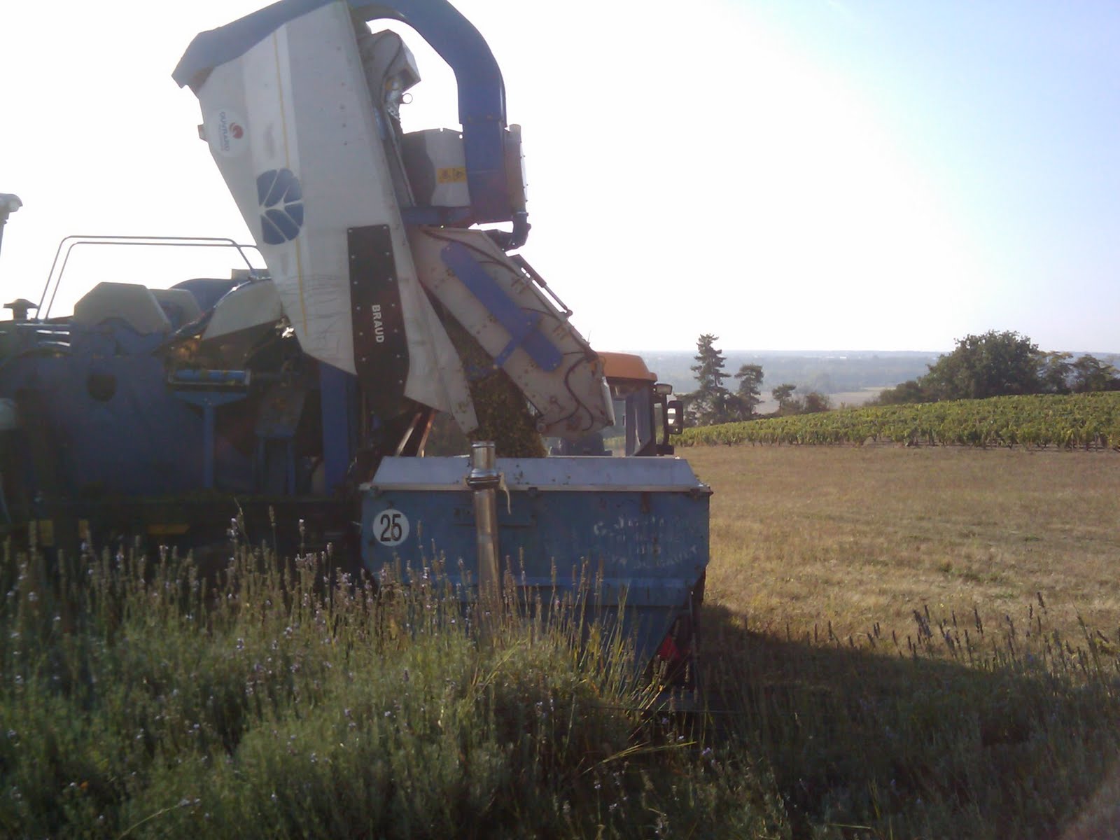 Grape Picking Machine