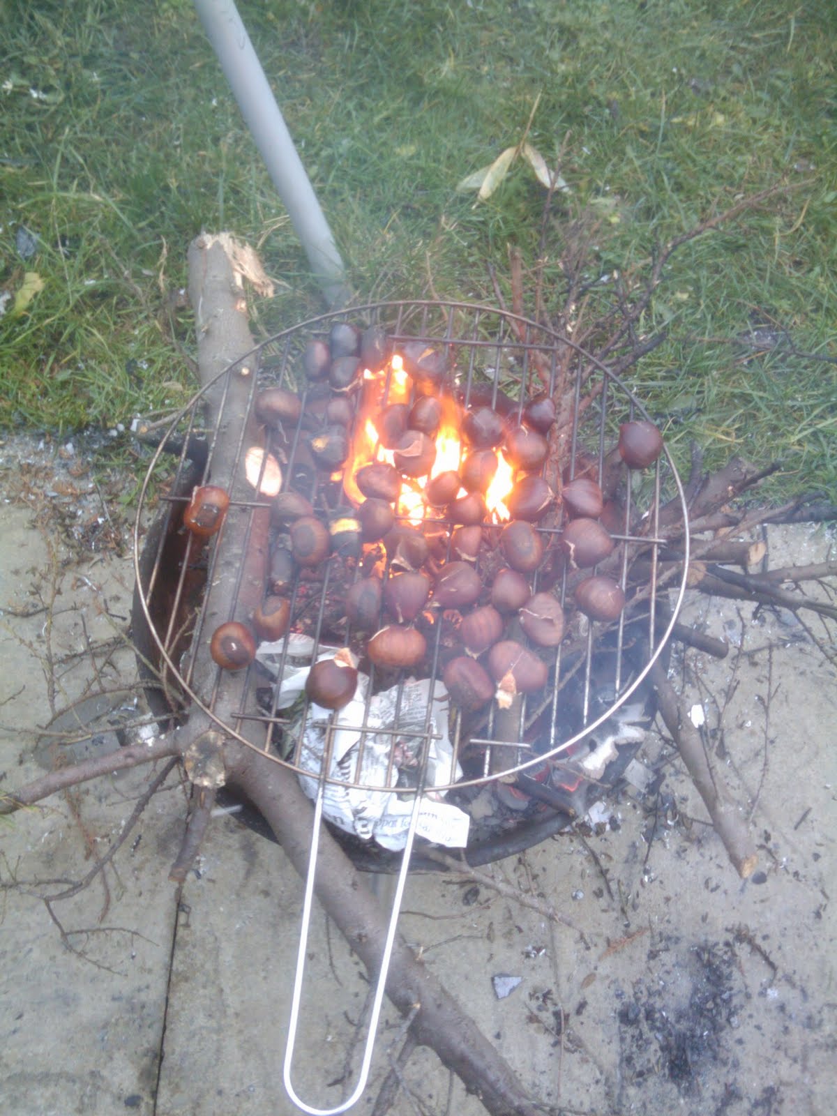 Chestnuts