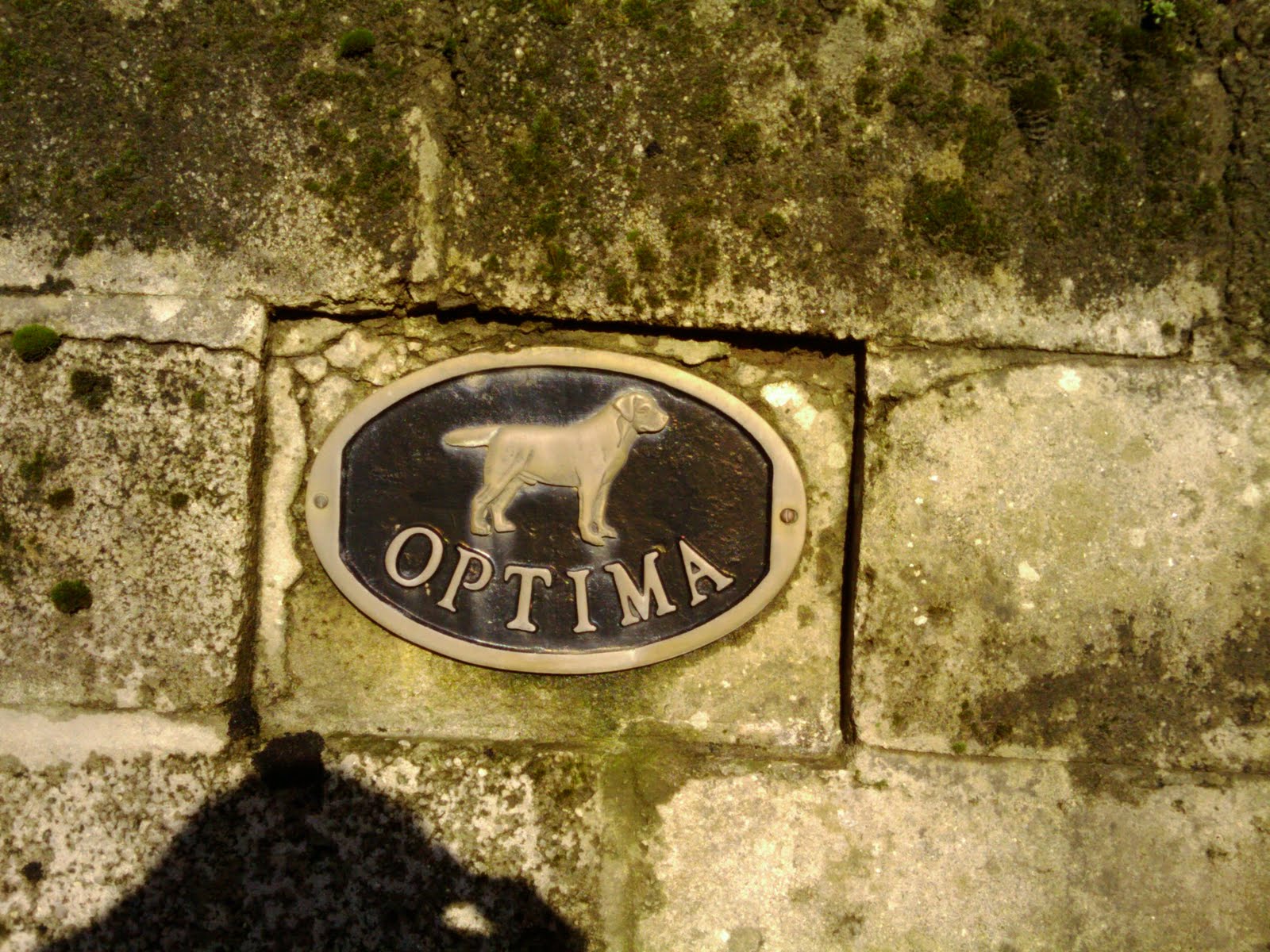 Optima