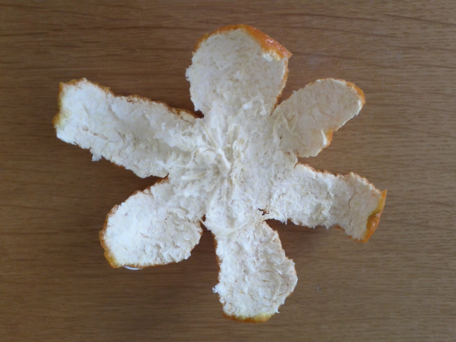 Satsuma