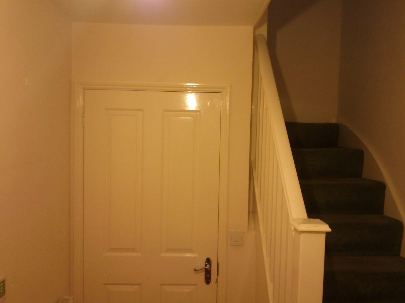 Door To Downstairs Loo